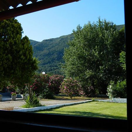 Corfu Dream Village Ypsos Eksteriør billede